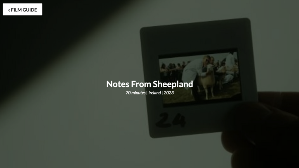 Notes from Sheepland
